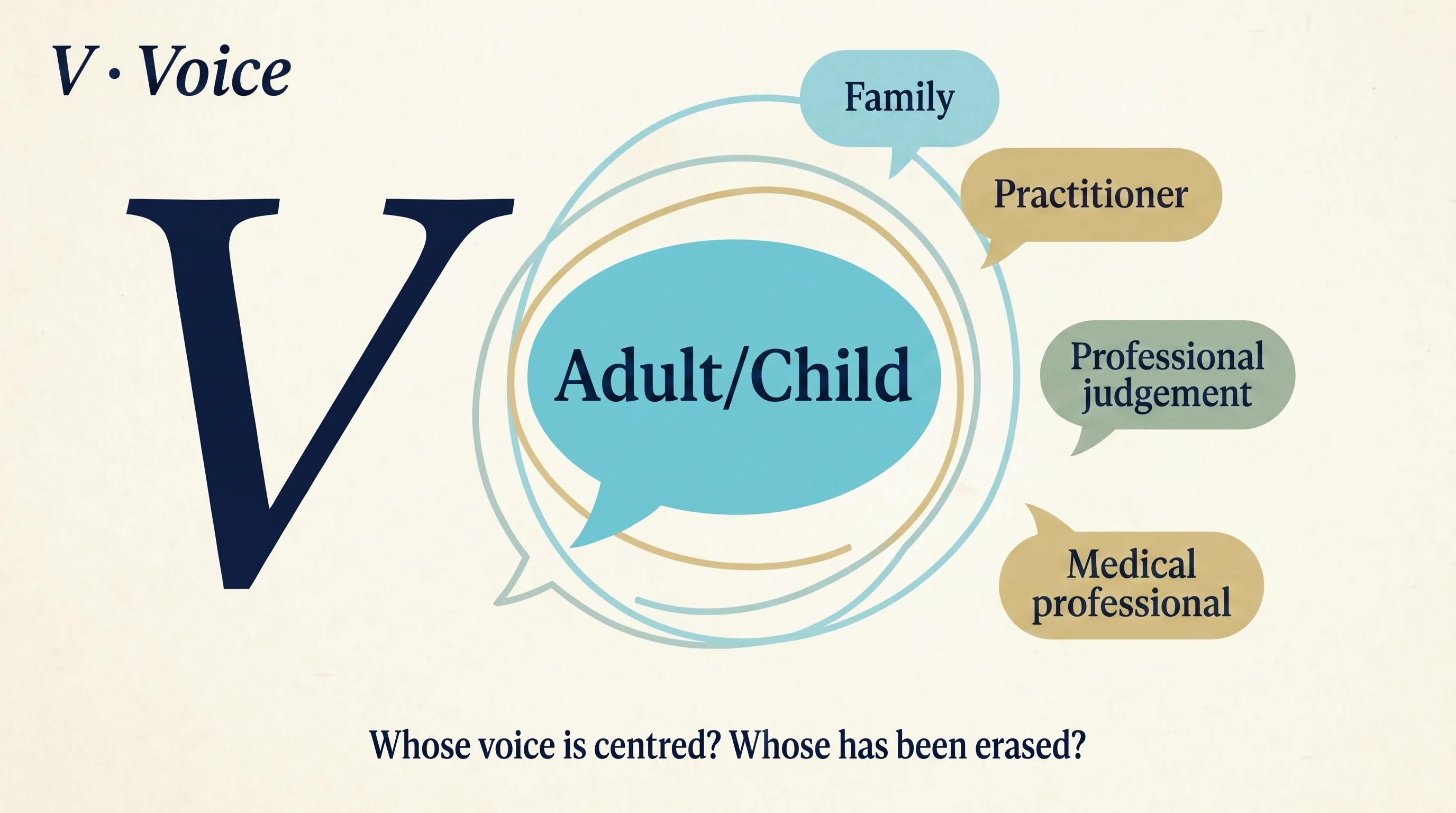 A large serif italic letter V surrounded by speech-bubble tags representing different voices: service user, family, practitioner, professional judgement, medical professional, child's voice. The service-user voice sits closest and largest.